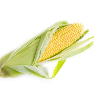 Vlakna iz koruzne svile